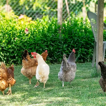 Apartman Intera Casa Con Due Indipendenti E Vasca Idromassaggio A Barbaresco, Langhe *