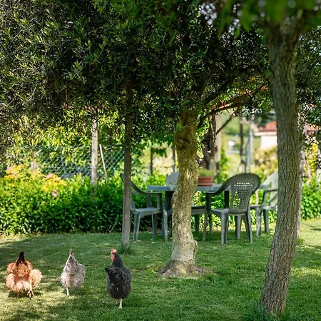 Intera Casa Con Due Indipendenti E Vasca Idromassaggio A Barbaresco, Langhe * Барбареско