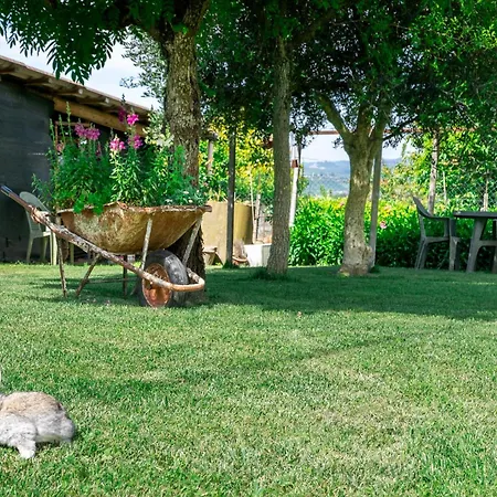 Intera Casa Con Due Indipendenti E Vasca Idromassaggio A Barbaresco, Langhe Барбареско