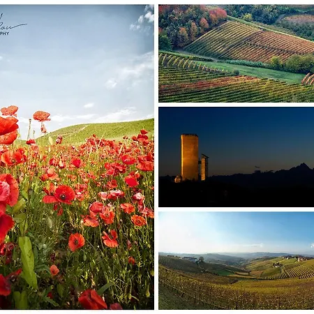 Апартаменты Intera Casa Con Due Indipendenti E Vasca Idromassaggio A Barbaresco, Langhe *